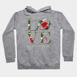 LOVE Letters December birth Month Holly Hoodie